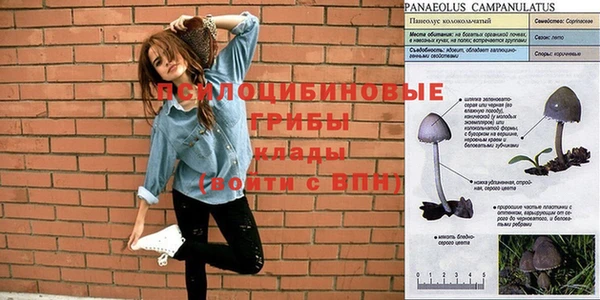кокаин колумбия Гусиноозёрск