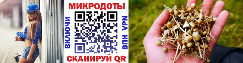 Галлюциногенные грибы прущие грибы  Коряжма 
