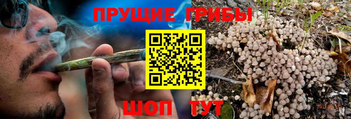 МЕФ  APVP  НБОМе  Гарик  Канабис  Коряжма  Вейп ТГК  Вход с VPN 
