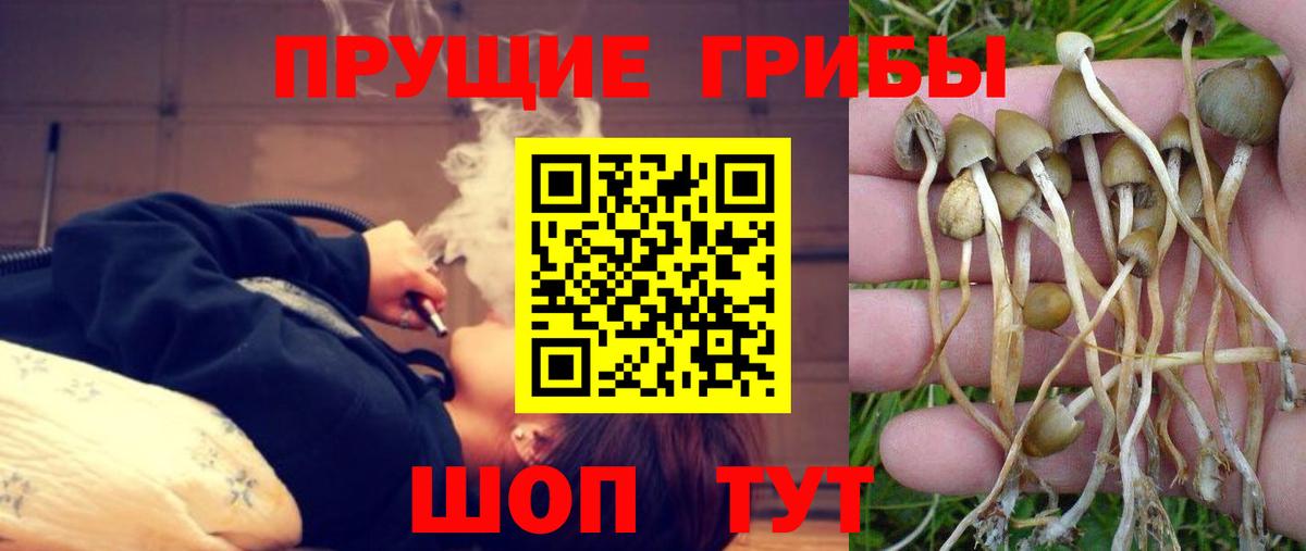 COCAIN  Коряжма  Вход с VPN  LSD-25  Марихуана  Меф   ГАШИШ  Бошки Шишки 