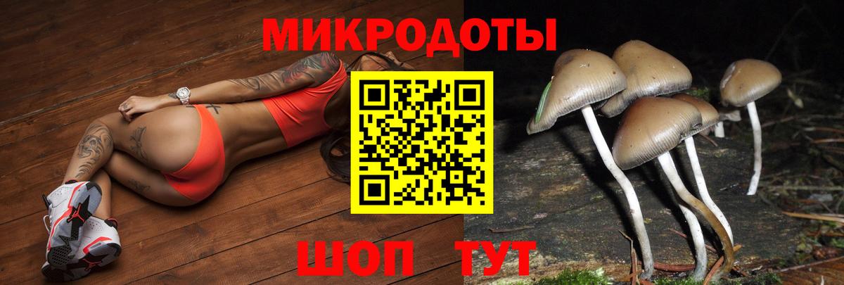 Галлюциногенные грибы мухоморы  наркотики  Галлюциногенные грибы ЛСД  Коряжма  Вход с VPN 